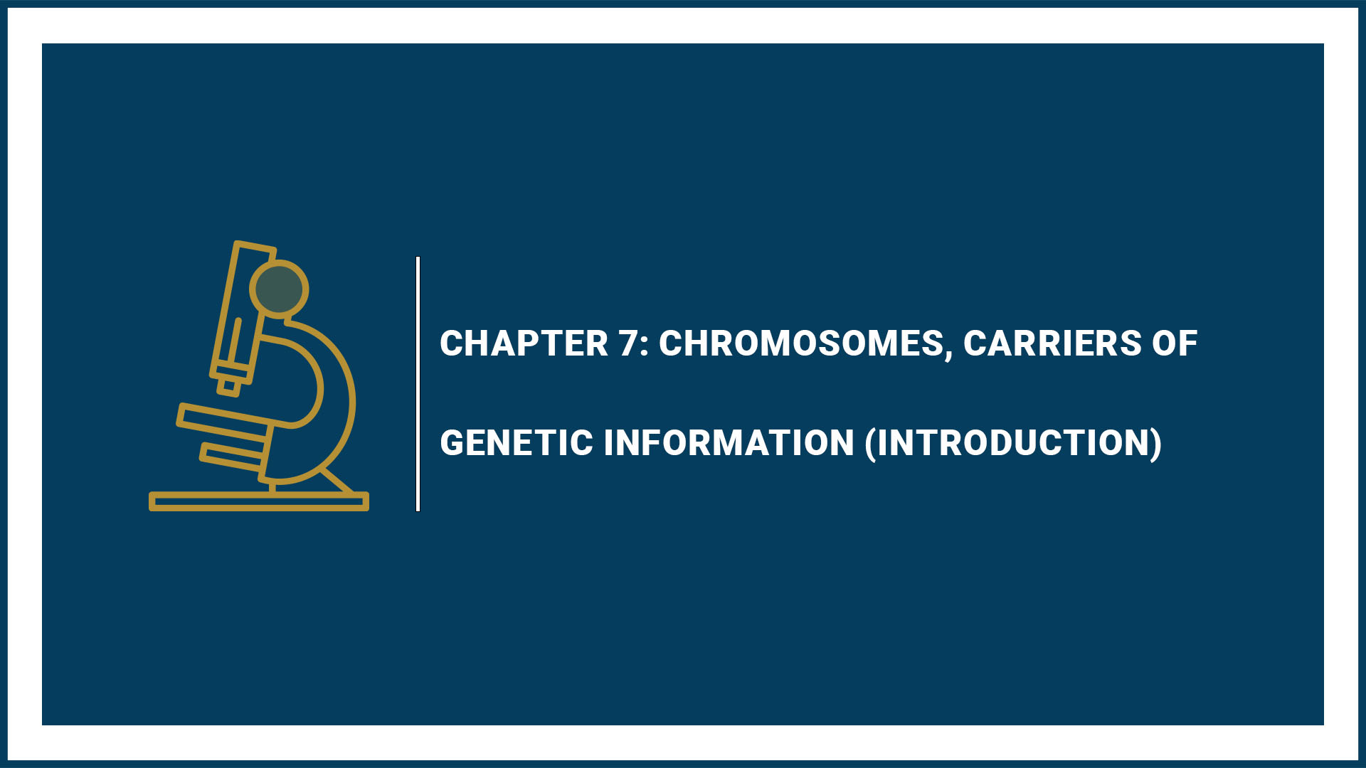 Introduction (Revision): The Carriers of Genetic Information
